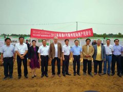 希森6號滕州測產圓滿成功，科技廳劉為民廳長親臨觀摩